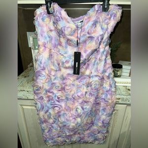 Fashion Nova Dress NWT